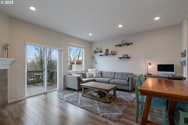 living room with a tile fireplace and hardwood / wood-style flooring