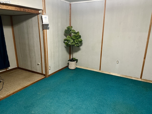 21223 NW Bendemeer Rd, Hillsboro, OR 97124 - below grade area with carpet flooring