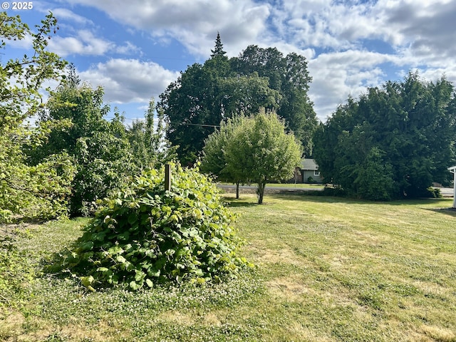 21223 NW Bendemeer Rd, Hillsboro, OR 97124 - view of grassy yard