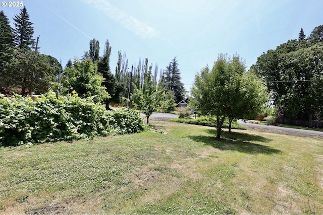 21223 NW Bendemeer Rd, Hillsboro, OR 97124 - view of grassy yard