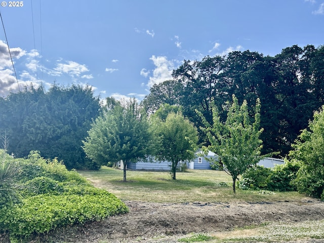 21223 NW Bendemeer Rd, Hillsboro, OR 97124 - view of yard