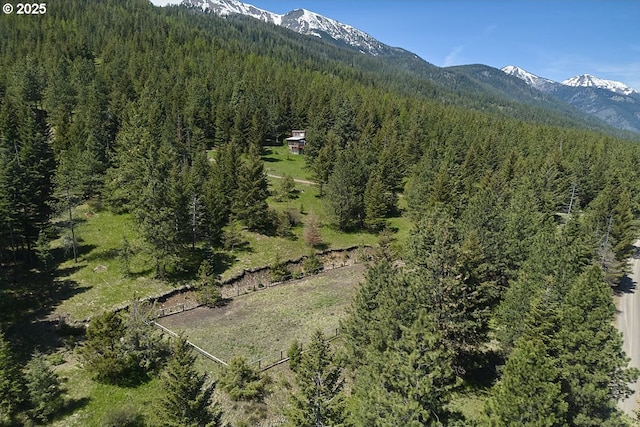 83863 Ollokot Ln, Joseph, OR 97846 - mountain view featuring a forest