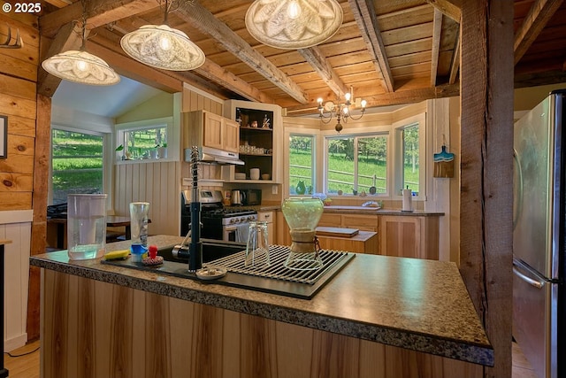 83863 Ollokot Ln, Joseph, OR 97846 - kitchen featuring stainless steel appliances, wood ceiling, open shelves, under cabinet range hood, and dark countertops