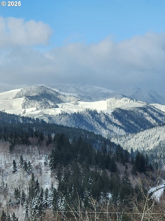 property view of mountains