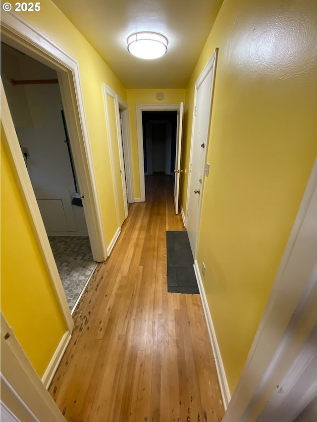 564566 Alameda Ave, Astoria, OR 97103 - hallway featuring light wood finished floors and baseboards