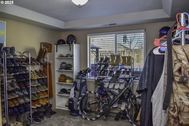 spacious closet with carpet floors and a raised ceiling