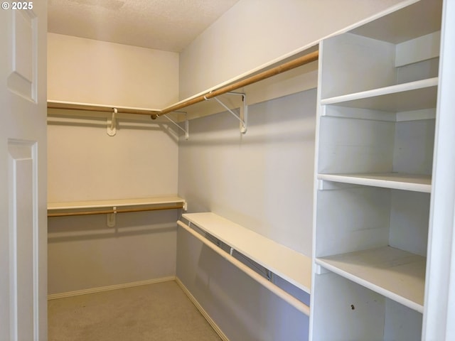 walk in closet featuring light colored carpet