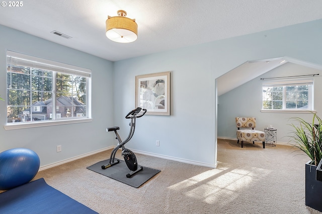 workout area featuring plenty of natural light, vaulted ceiling, and carpet