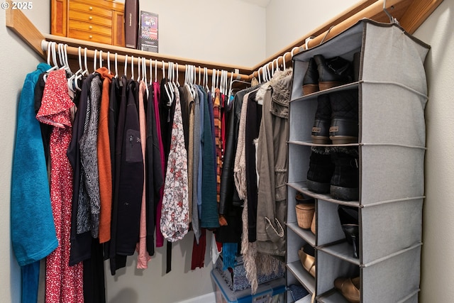 view of spacious closet