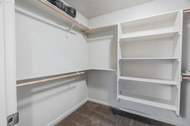 spacious closet with dark colored carpet