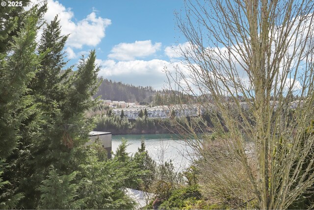 property view of water with a wooded view