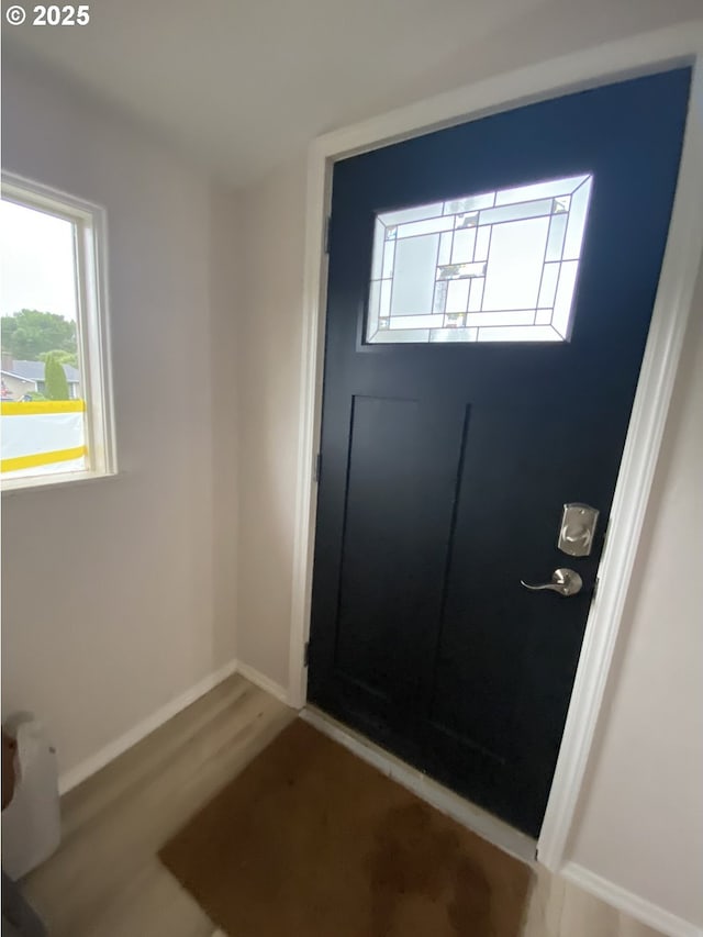 entryway featuring baseboards, healthy amount of natural light, and wood finished floors