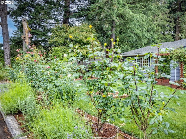 12309 SE Riveridge Dr, Vancouver, WA 98683 - view of yard
