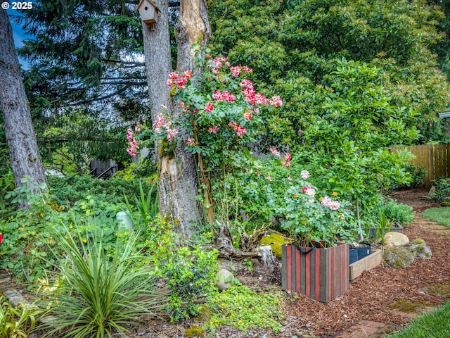 12309 SE Riveridge Dr, Vancouver, WA 98683 - view of yard with a vegetable garden