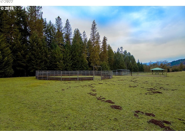 view of yard with a rural view