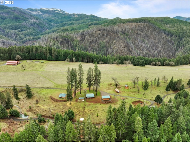 mountain view featuring a rural view