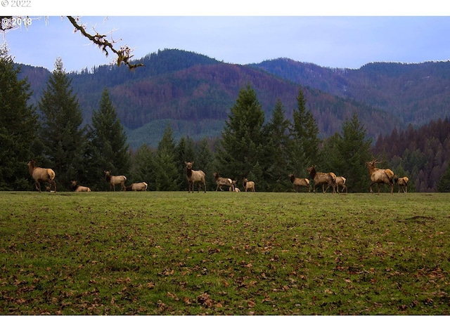 mountain view featuring a rural view