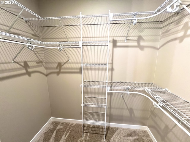 931 Medina Ave, Sutherlin, OR 97479 - walk in closet with carpet flooring