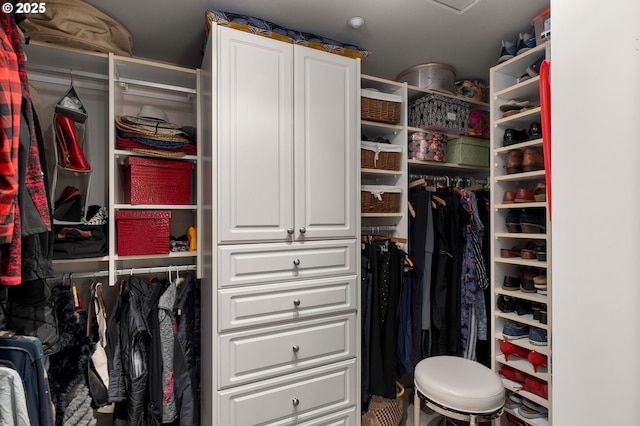 view of spacious closet