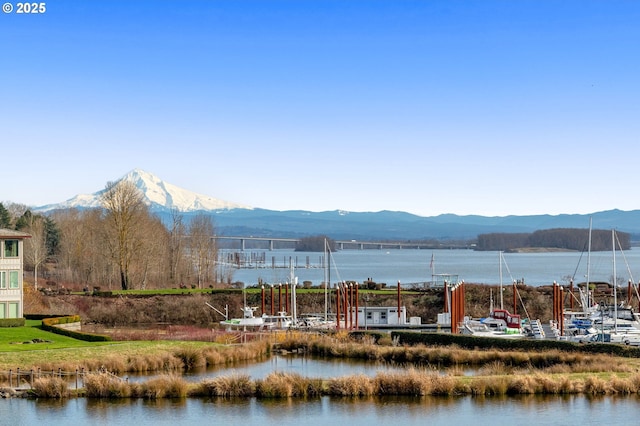 view of water feature with a mountain view