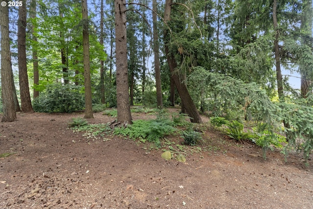 4220 NE 171st Ave, Vancouver, WA 98682 - view of nature