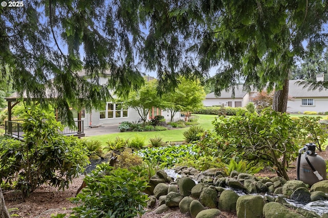 4220 NE 171st Ave, Vancouver, WA 98682 - view of green lawn