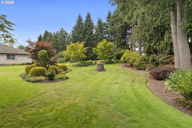 4220 NE 171st Ave, Vancouver, WA 98682 - view of green lawn