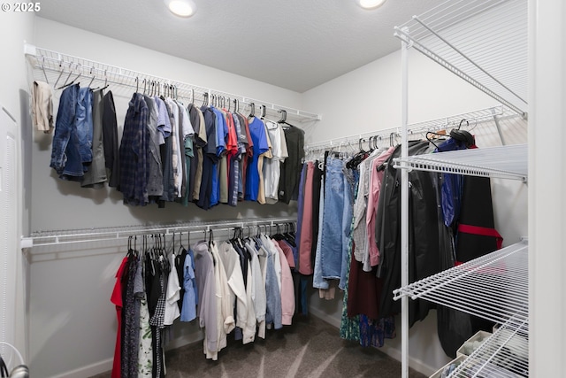 31380 NW Turel Dr, North Plains, OR 97133 - spacious closet featuring carpet floors