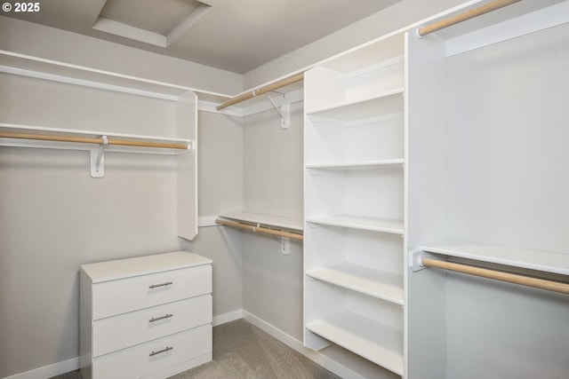 spacious closet with light carpet