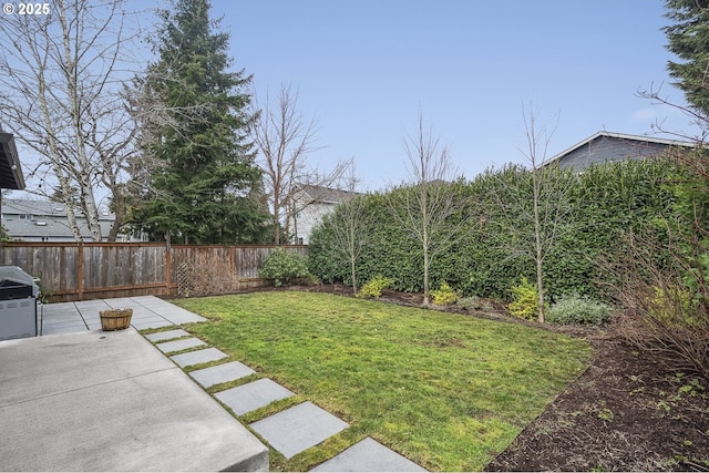 view of yard featuring a patio