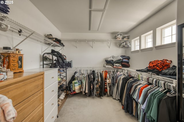 30809 NW Yorkshire St, North Plains, OR 97133 - walk in closet with light colored carpet