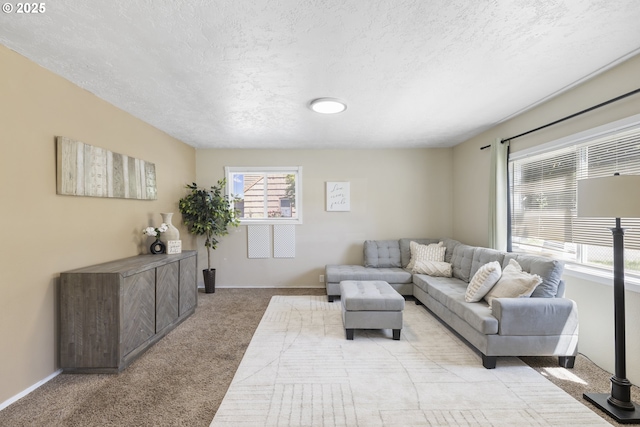 11547 NE San Rafael St, Portland, OR 97220 - living room with light carpet, a textured ceiling, and baseboards