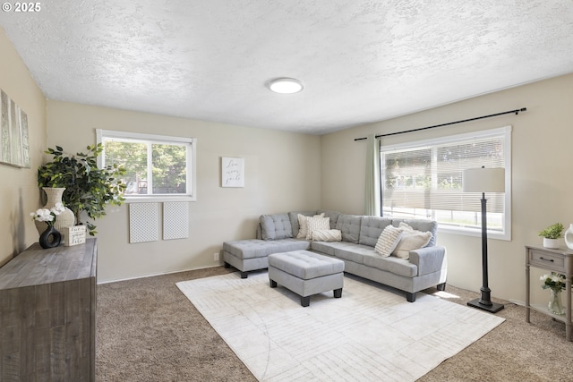 11547 NE San Rafael St, Portland, OR 97220 - living area with carpet flooring, a textured ceiling, and baseboards