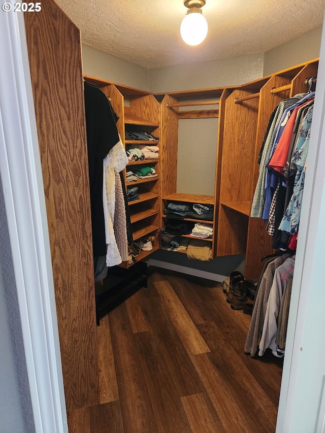 walk in closet featuring wood finished floors