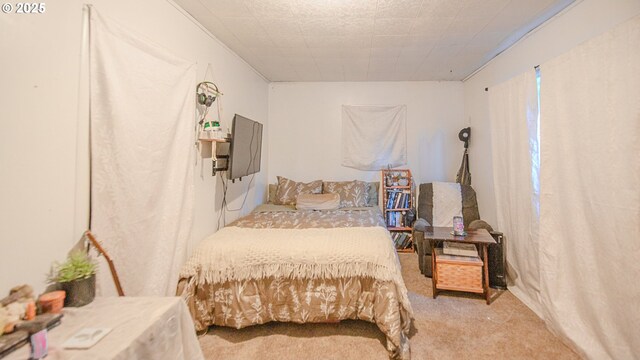 bedroom featuring light carpet