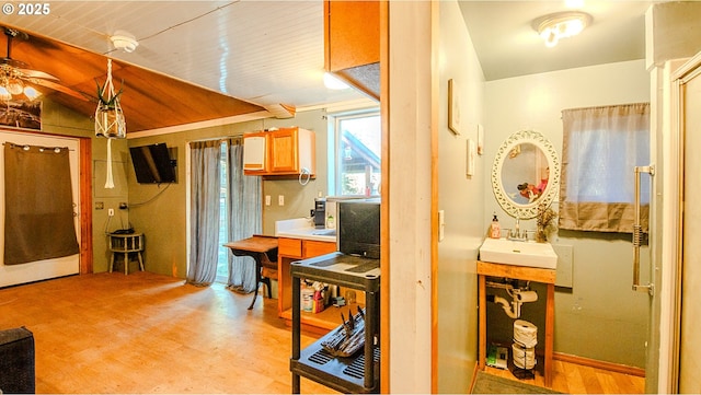 interior space featuring ceiling fan, sink, and light hardwood / wood-style flooring