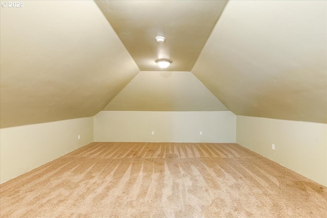 additional living space featuring carpet and lofted ceiling