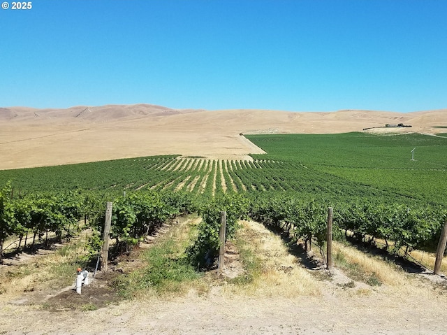1500 Vintage Rd, Zillah, WA 98953