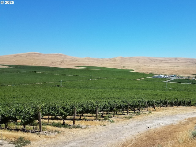 1500 Vintage Rd, Zillah, WA 98953