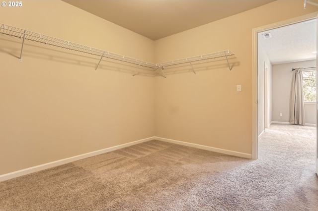 7156 NW Abigail Ter, Portland, OR 97229 - walk in closet featuring carpet and visible vents