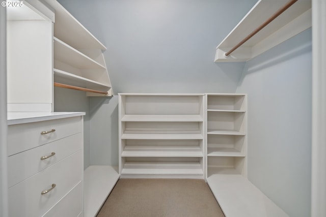 3505 SW Beaverton Ave, Portland, OR 97239 - walk in closet featuring carpet floors
