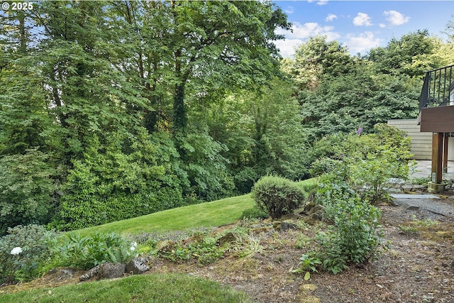 3505 SW Beaverton Ave, Portland, OR 97239 - view of green lawn featuring a forest view