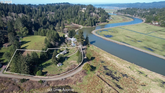 bird's eye view featuring a water view and a forest view