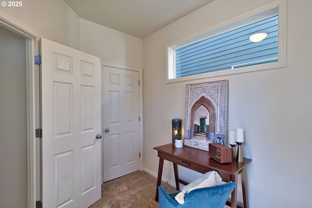 interior space featuring baseboards and carpet