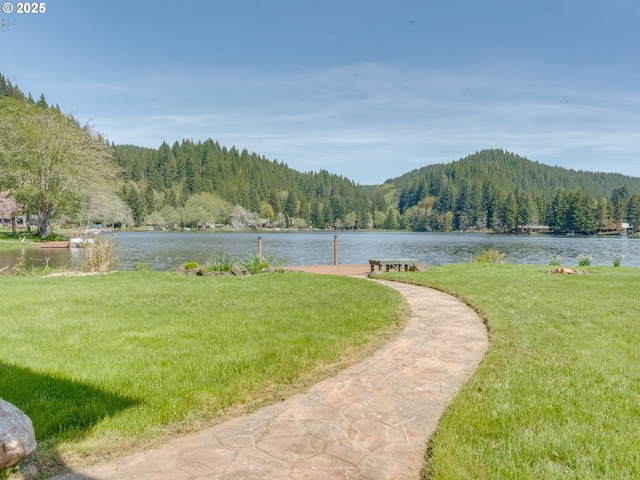 view of community featuring a water view, a yard, a forest view, and a dock
