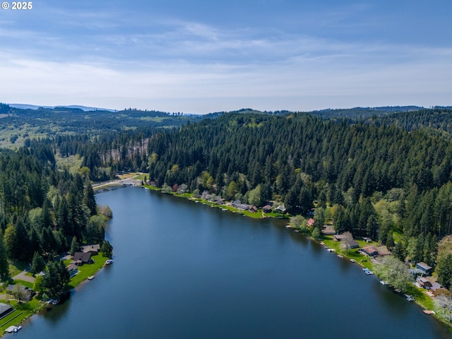 drone / aerial view with a water view and a view of trees