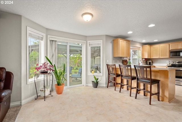 kitchen with light brown cabinetry, stainless steel appliances, baseboards, and a healthy amount of sunlight
