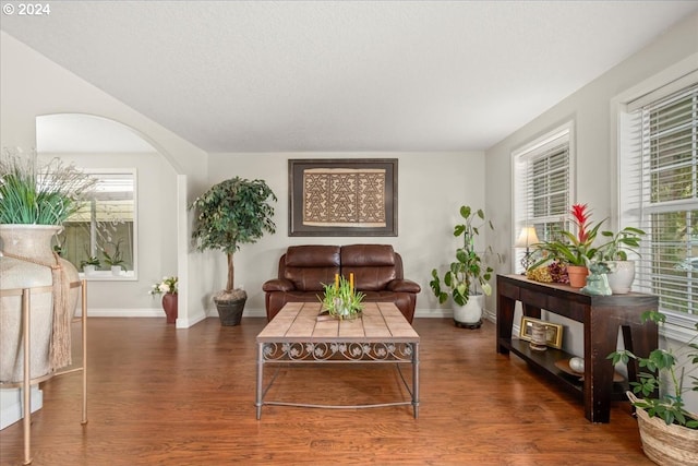 living area featuring baseboards, arched walkways, wood finished floors, and a healthy amount of sunlight