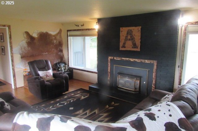 living area with a fireplace with raised hearth and wood finished floors