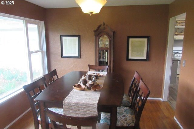 dining space with baseboards and wood finished floors